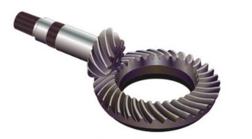 Bevel Gear