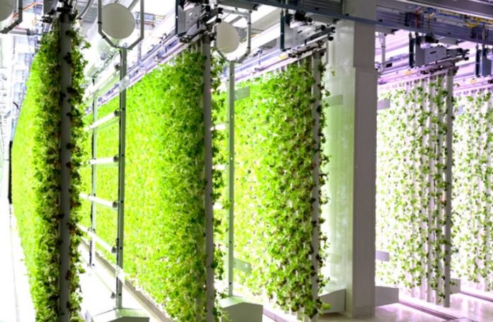 vertical farming