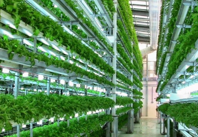 vertical farming